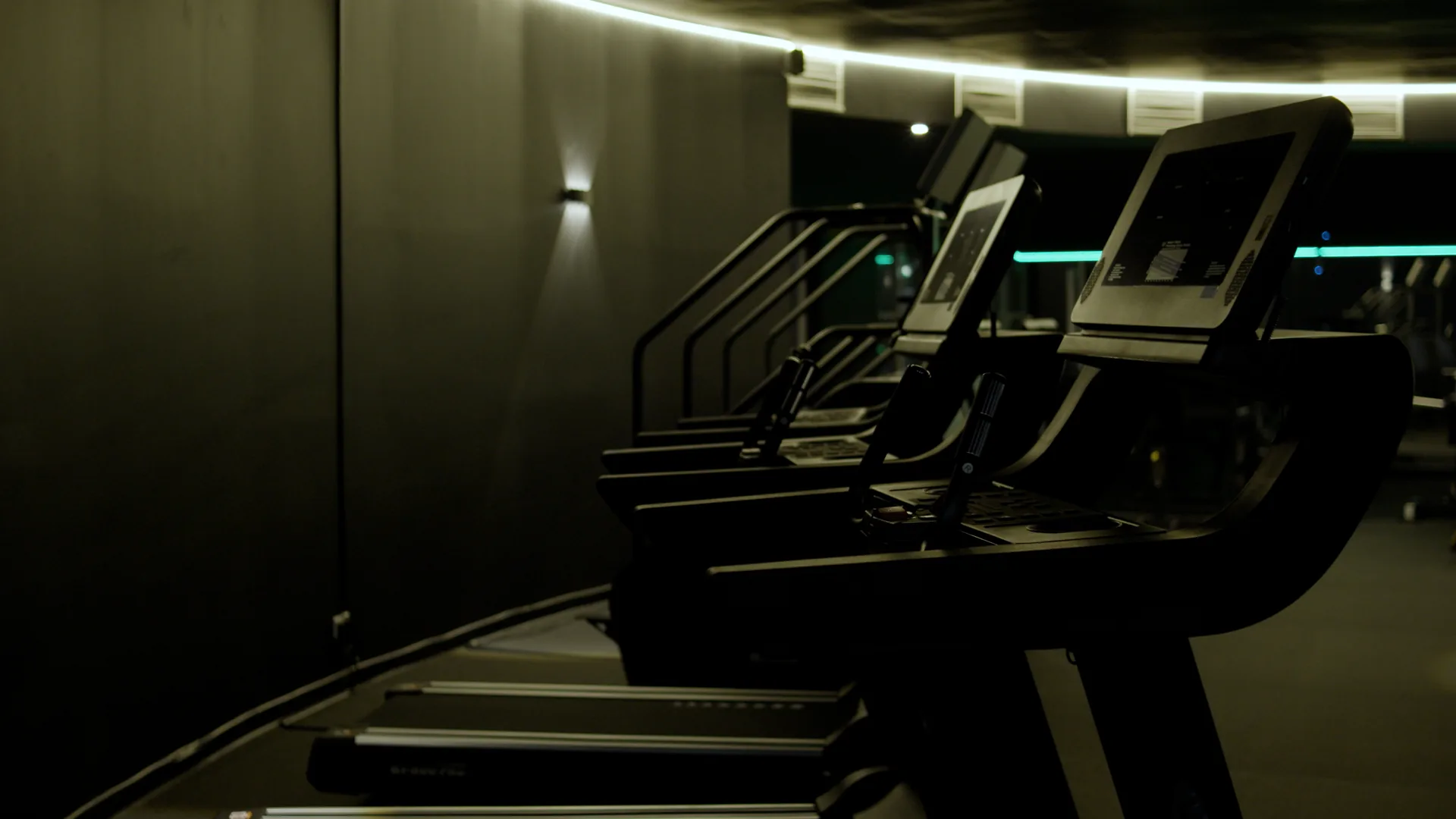 Cardiobereich im Muscle Palace Berlin